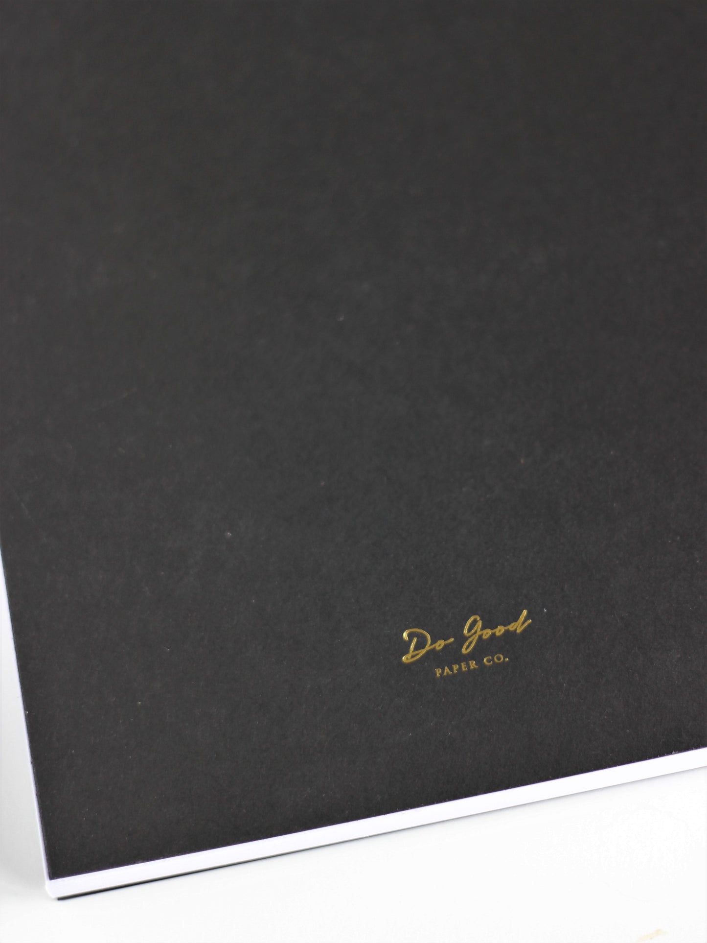 Sketch Book
