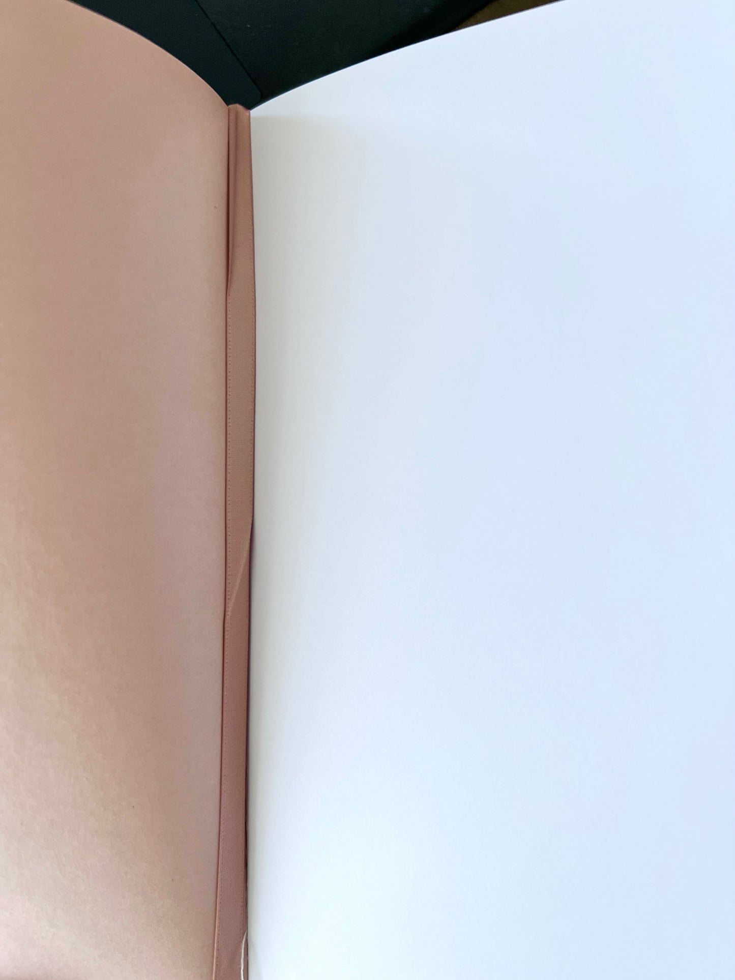 Plant Good Seeds Journal