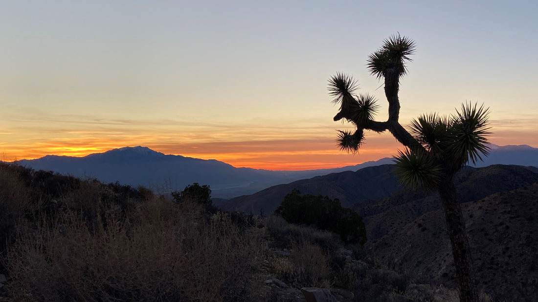 Photography lessons learned in the desert