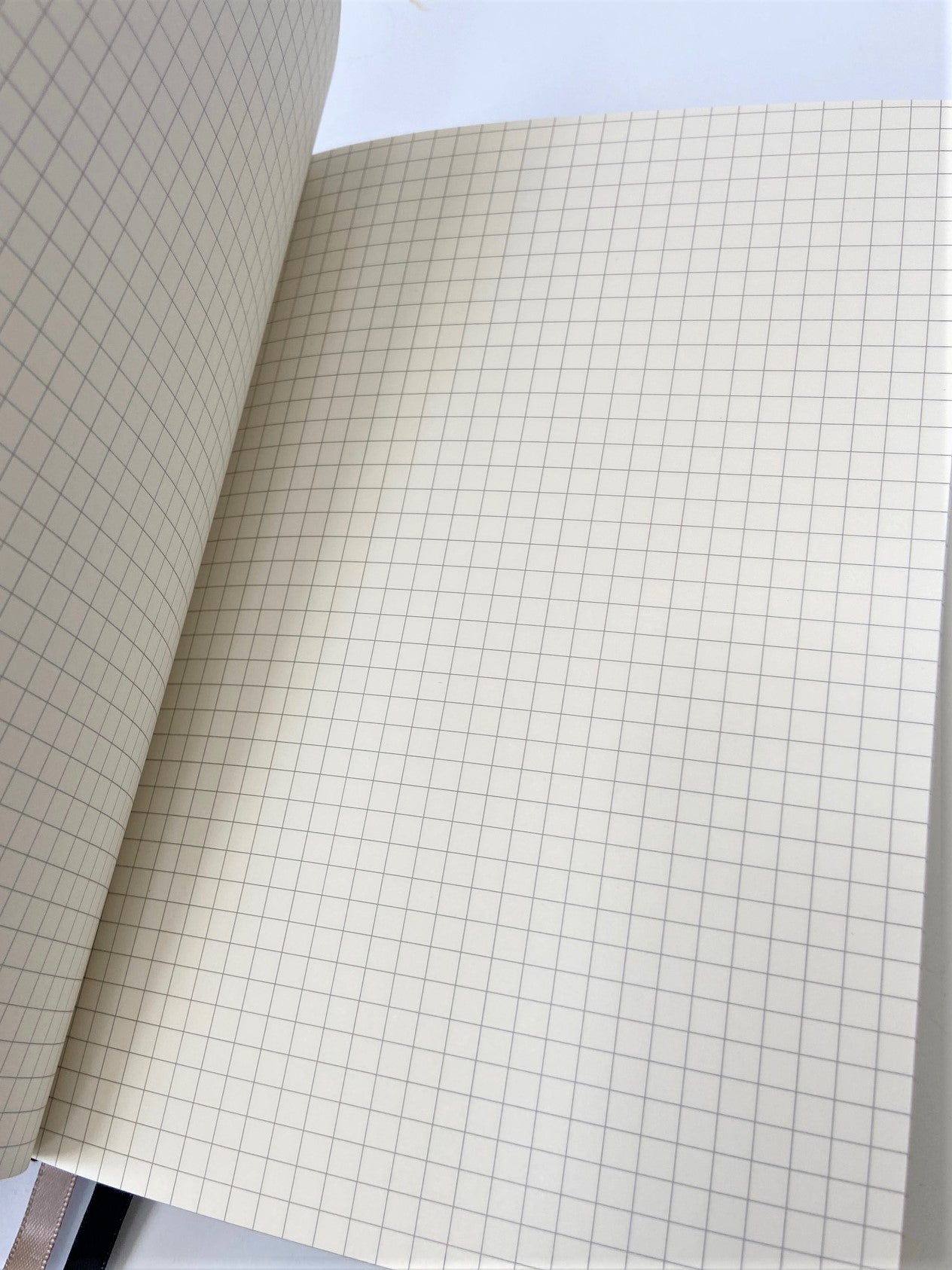 Grid journal - graph paper, square-grids recycled paper